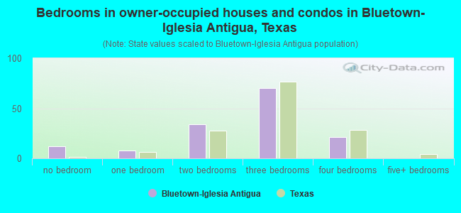 Bedrooms in owner-occupied houses and condos in Bluetown-Iglesia Antigua, Texas