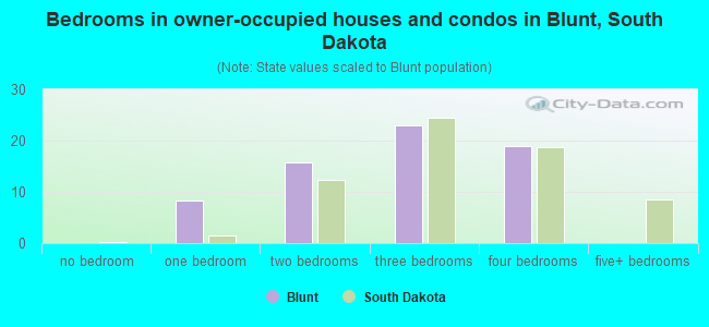 Bedrooms in owner-occupied houses and condos in Blunt, South Dakota