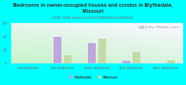 Bedrooms in owner-occupied houses and condos in Blythedale, Missouri