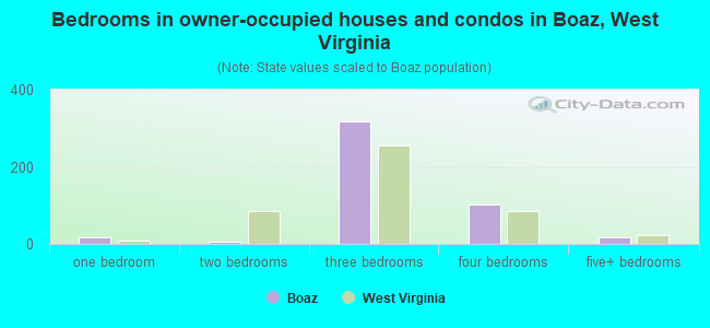 Bedrooms in owner-occupied houses and condos in Boaz, West Virginia