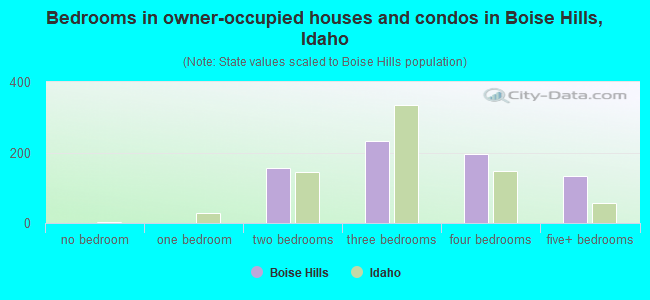 Bedrooms in owner-occupied houses and condos in Boise Hills, Idaho