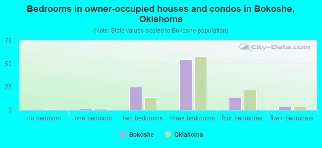 Bedrooms in owner-occupied houses and condos in Bokoshe, Oklahoma