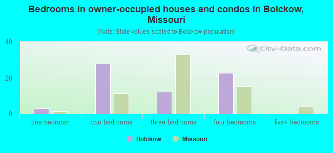 Bedrooms in owner-occupied houses and condos in Bolckow, Missouri