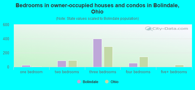 Bedrooms in owner-occupied houses and condos in Bolindale, Ohio