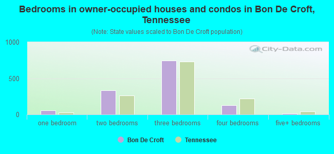 Bedrooms in owner-occupied houses and condos in Bon De Croft, Tennessee
