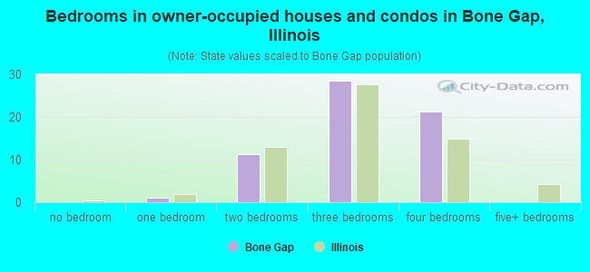 Bedrooms in owner-occupied houses and condos in Bone Gap, Illinois