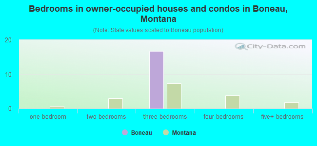 Bedrooms in owner-occupied houses and condos in Boneau, Montana