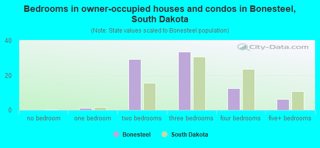 Bedrooms in owner-occupied houses and condos in Bonesteel, South Dakota