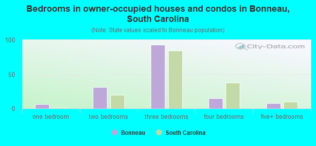 Bedrooms in owner-occupied houses and condos in Bonneau, South Carolina