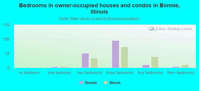 Bedrooms in owner-occupied houses and condos in Bonnie, Illinois