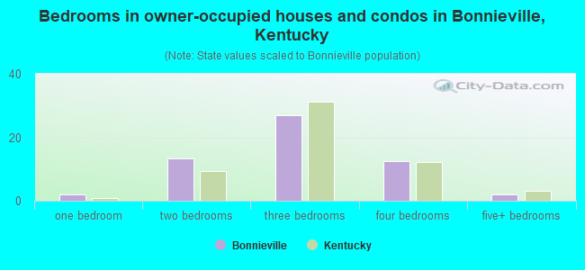 Bedrooms in owner-occupied houses and condos in Bonnieville, Kentucky