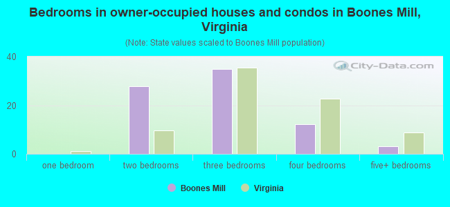 Bedrooms in owner-occupied houses and condos in Boones Mill, Virginia