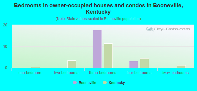 Bedrooms in owner-occupied houses and condos in Booneville, Kentucky