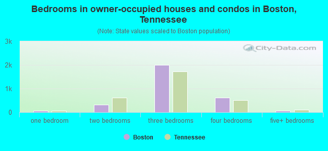 Bedrooms in owner-occupied houses and condos in Boston, Tennessee