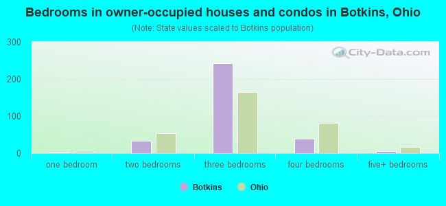 Bedrooms in owner-occupied houses and condos in Botkins, Ohio