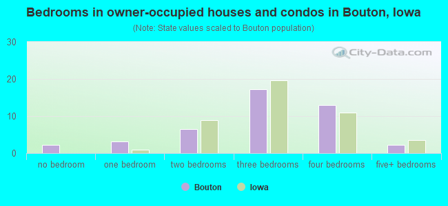 Bedrooms in owner-occupied houses and condos in Bouton, Iowa