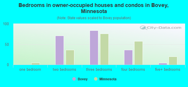 Bedrooms in owner-occupied houses and condos in Bovey, Minnesota