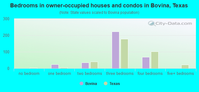 Bedrooms in owner-occupied houses and condos in Bovina, Texas