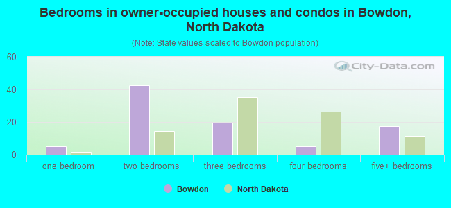 Bedrooms in owner-occupied houses and condos in Bowdon, North Dakota