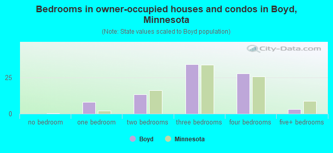 Bedrooms in owner-occupied houses and condos in Boyd, Minnesota
