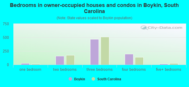 Bedrooms in owner-occupied houses and condos in Boykin, South Carolina
