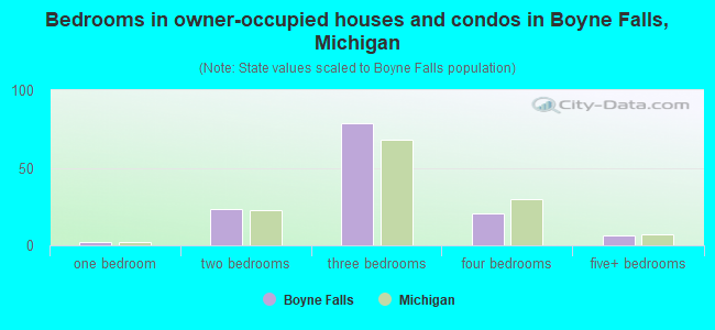 Bedrooms in owner-occupied houses and condos in Boyne Falls, Michigan