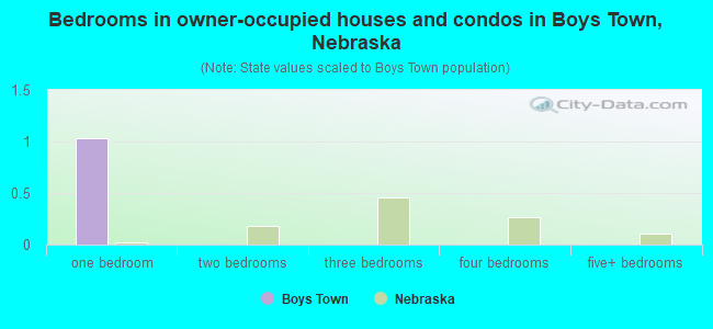 Bedrooms in owner-occupied houses and condos in Boys Town, Nebraska