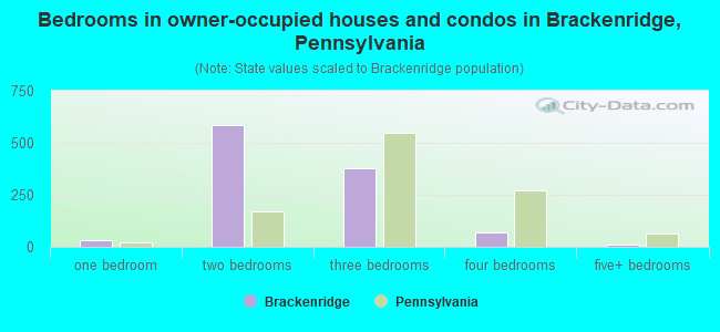 Bedrooms in owner-occupied houses and condos in Brackenridge, Pennsylvania