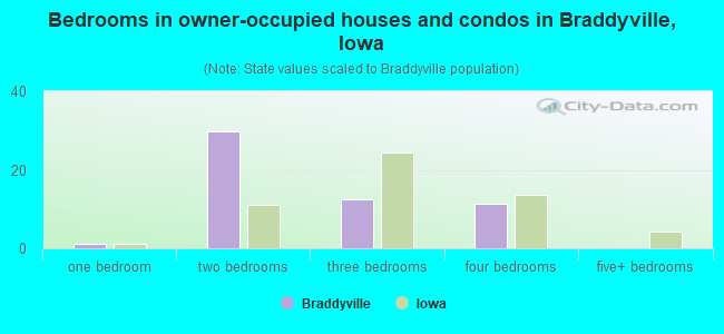 Bedrooms in owner-occupied houses and condos in Braddyville, Iowa