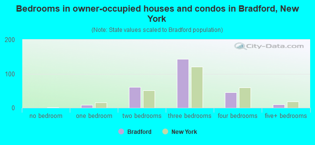 Bedrooms in owner-occupied houses and condos in Bradford, New York