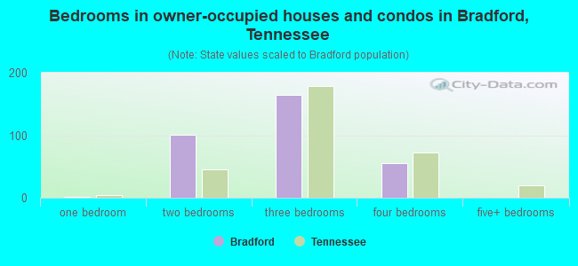 Bedrooms in owner-occupied houses and condos in Bradford, Tennessee