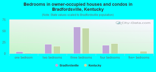 Bedrooms in owner-occupied houses and condos in Bradfordsville, Kentucky