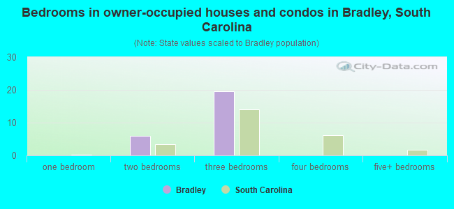 Bedrooms in owner-occupied houses and condos in Bradley, South Carolina