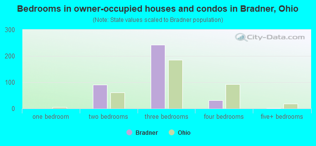 Bedrooms in owner-occupied houses and condos in Bradner, Ohio