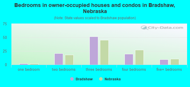Bedrooms in owner-occupied houses and condos in Bradshaw, Nebraska