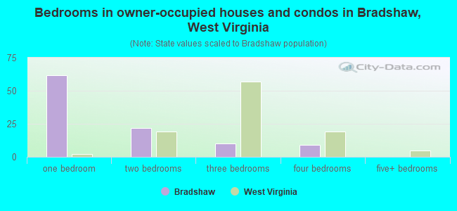 Bedrooms in owner-occupied houses and condos in Bradshaw, West Virginia