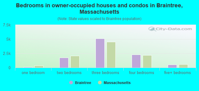 Bedrooms in owner-occupied houses and condos in Braintree, Massachusetts