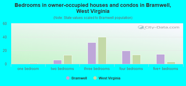 Bedrooms in owner-occupied houses and condos in Bramwell, West Virginia
