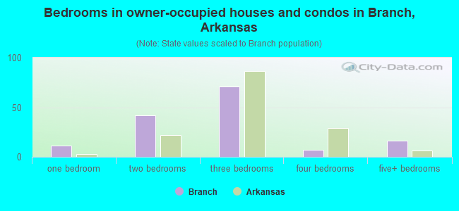 Bedrooms in owner-occupied houses and condos in Branch, Arkansas