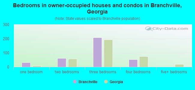 Bedrooms in owner-occupied houses and condos in Branchville, Georgia