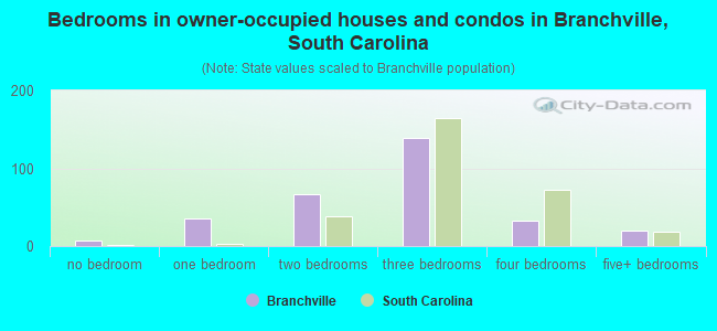 Bedrooms in owner-occupied houses and condos in Branchville, South Carolina