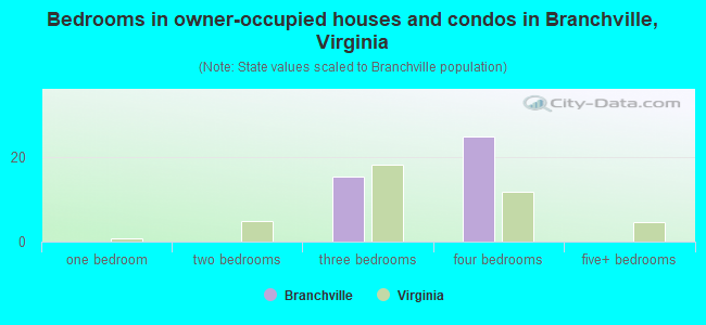 Bedrooms in owner-occupied houses and condos in Branchville, Virginia