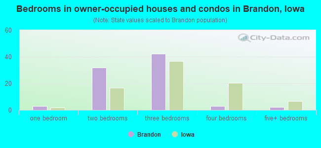 Bedrooms in owner-occupied houses and condos in Brandon, Iowa