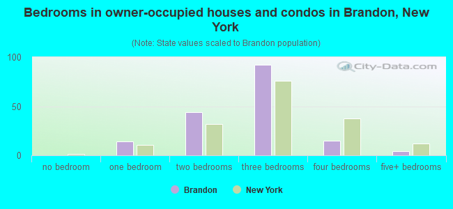 Bedrooms in owner-occupied houses and condos in Brandon, New York