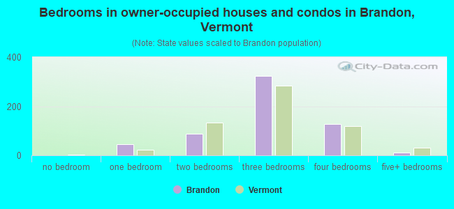 Bedrooms in owner-occupied houses and condos in Brandon, Vermont