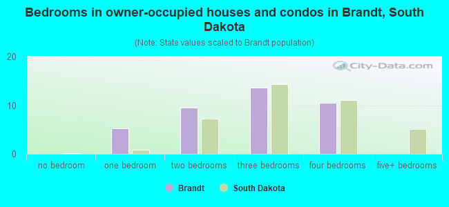 Bedrooms in owner-occupied houses and condos in Brandt, South Dakota