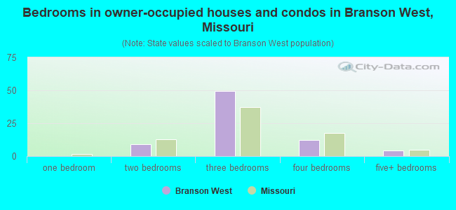Bedrooms in owner-occupied houses and condos in Branson West, Missouri