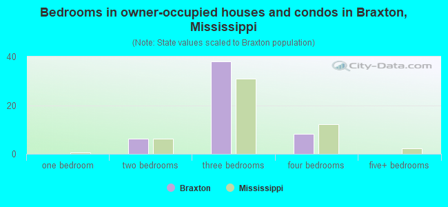 Bedrooms in owner-occupied houses and condos in Braxton, Mississippi