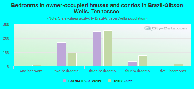 Bedrooms in owner-occupied houses and condos in Brazil-Gibson Wells, Tennessee