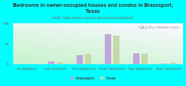 Bedrooms in owner-occupied houses and condos in Brazosport, Texas
